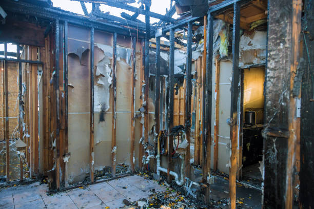 Professional Fire Damage Removal technician working in Mound, MN